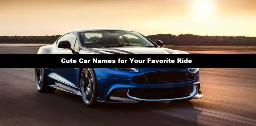 Cute Car Names for Your Favorite Ride