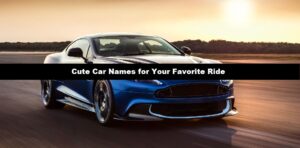 Cute Car Names for Your Favorite Ride